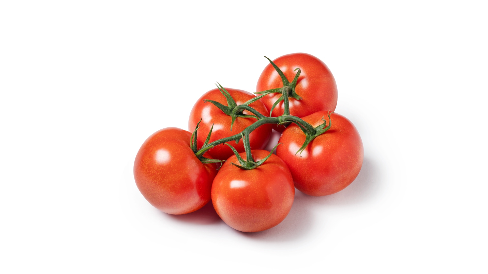 WinVine tomato